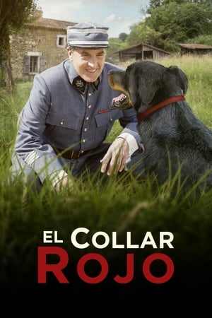 donde ver el collar rojo