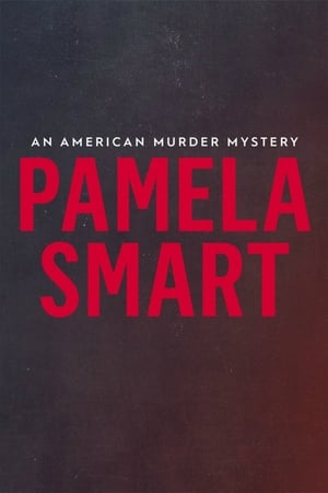 donde ver el crimen de pamela smart