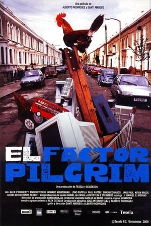 donde ver el factor pilgrim