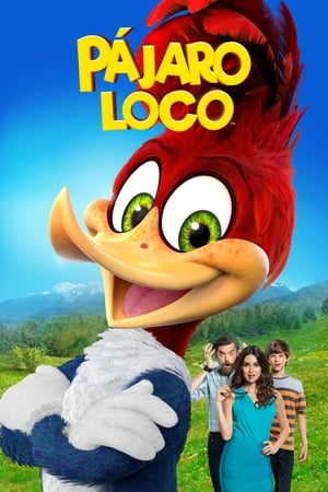 donde ver el pájaro loco - la película