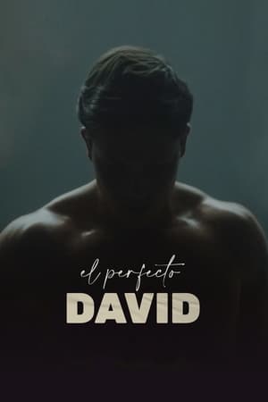 donde ver el perfecto david