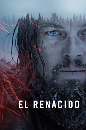 donde ver el renacido (the revenant)