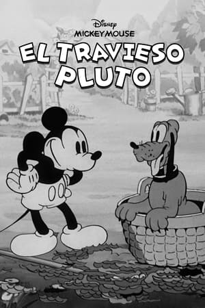 donde ver el travieso pluto