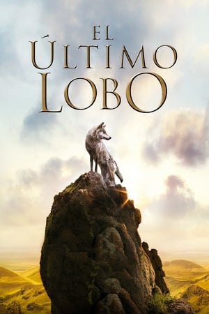 donde ver el último lobo