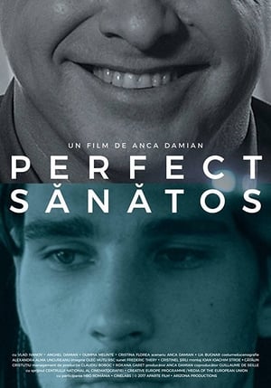 donde ver perfect sãnãtos