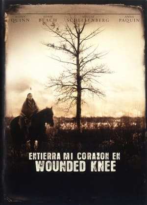 donde ver entierra mi corazón en wounded knee