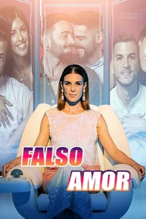 donde ver falso amor