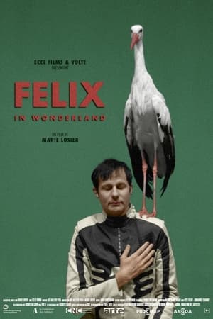 donde ver felix in wonderland