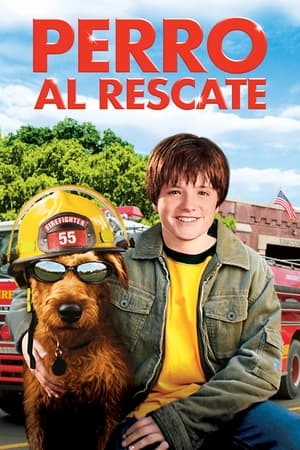 donde ver perro al rescate