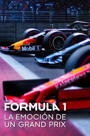 donde ver formula 1: drive to survive