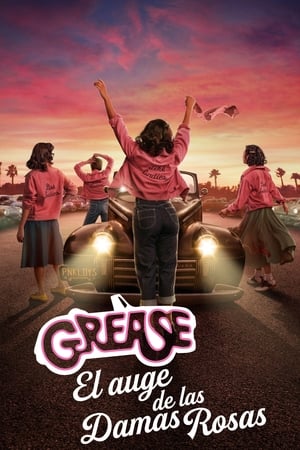 donde ver grease: rise of the pink ladies