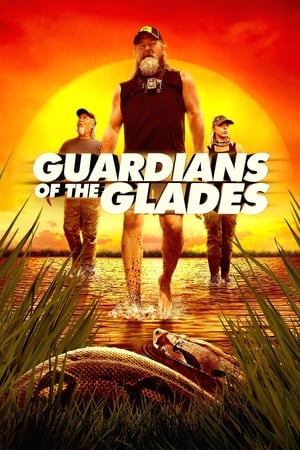 donde ver guardians of the glades