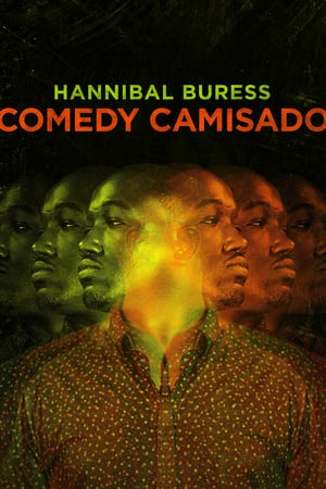 donde ver hannibal buress: comedy camisado