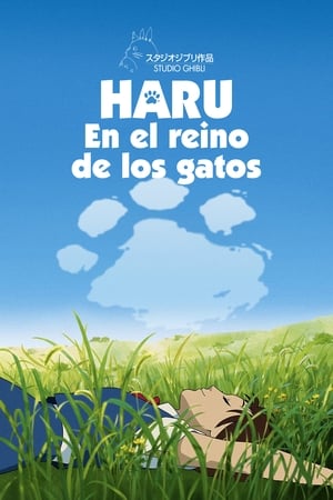 donde ver haru en el reino de los gatos