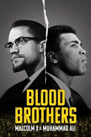 donde ver hermanos de sangre: malcolm x y muhammad ali