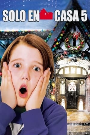 donde ver home alone: the holiday heist