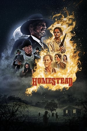 donde ver homestead