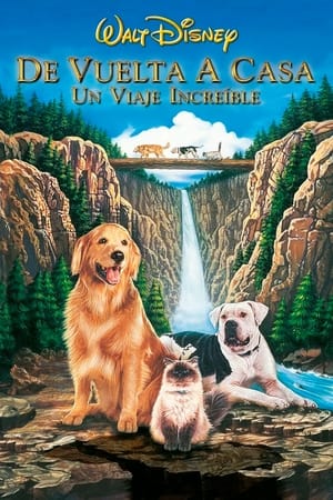 donde ver homeward bound - the incredible journey