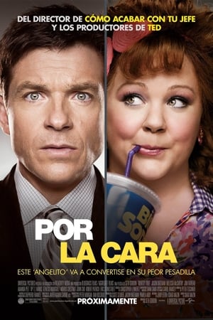 donde ver identity thief