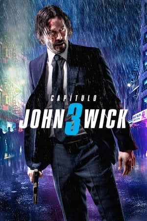 donde ver john wick: capítulo 3 parabellum