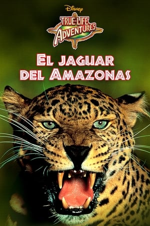 donde ver el jaguar del amazonas