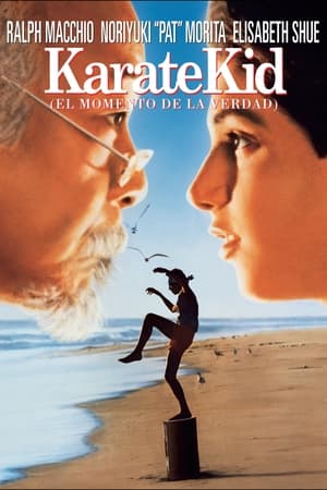 donde ver karate kid (el momento de la verdad)