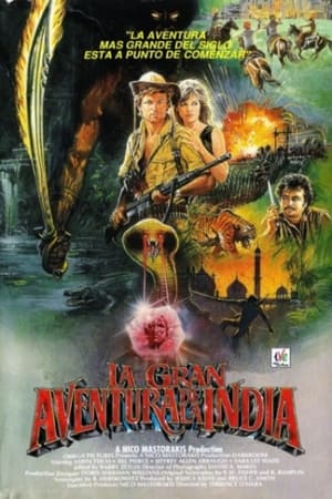 donde ver la gran aventura de la india (1988)