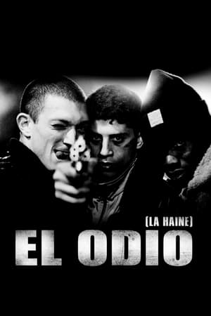 donde ver la haine