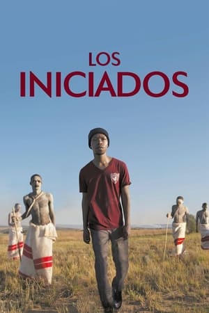 donde ver la herida (the wound)