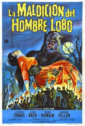 donde ver la maldición del hombre lobo