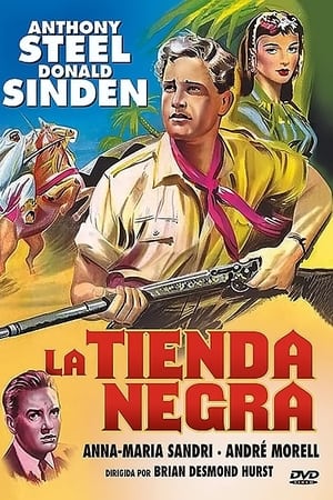 donde ver la tienda negra