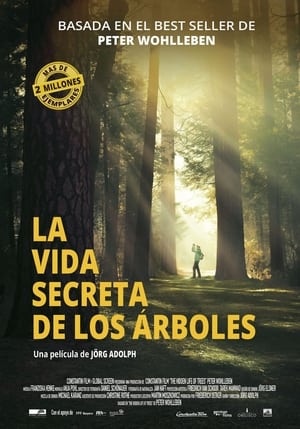 donde ver la vida secreta de los árboles