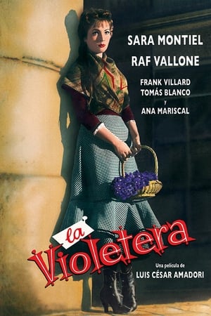 donde ver la violetera