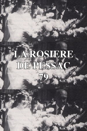 donde ver la virgen de pessac (1979)