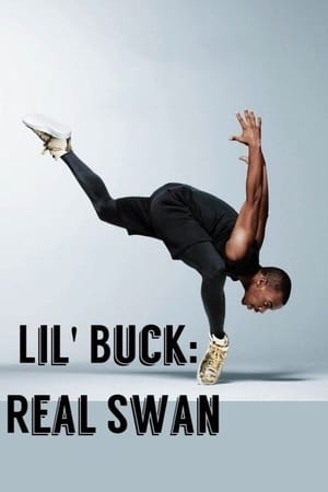 donde ver lil' buck: real swan