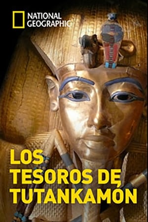 donde ver los secretos del rey tut