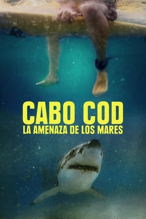 donde ver los tiburones del cabo cod