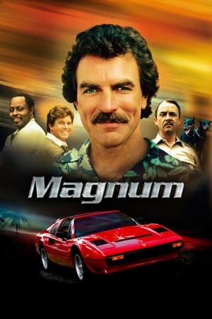 donde ver magnum p.i. (1980)