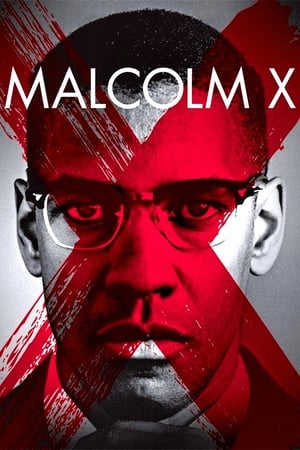 donde ver malcolm x (película)