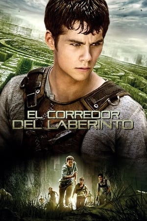 donde ver maze runner – die auserwählten im labyrinth