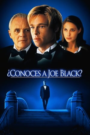 donde ver meet joe black