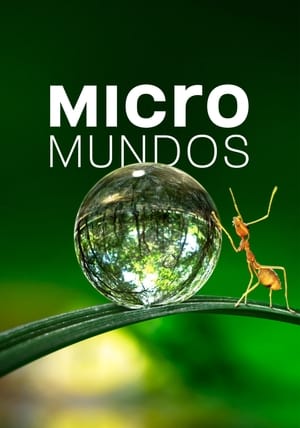 donde ver micromundos