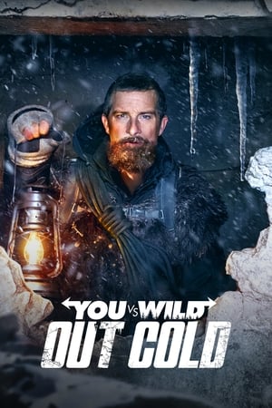 donde ver misión en la nieve: una película interactiva de you vs. wild