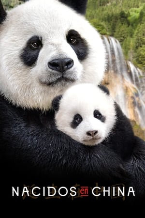 donde ver disneynature: nacidos en china