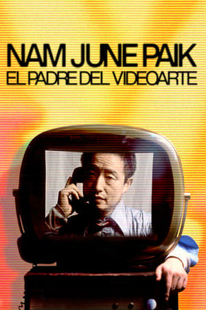 donde ver nam june paik. el padre del videoarte