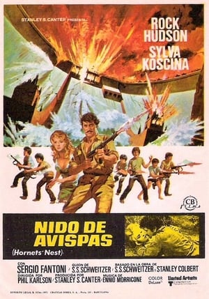 donde ver nido de avispas (1970)