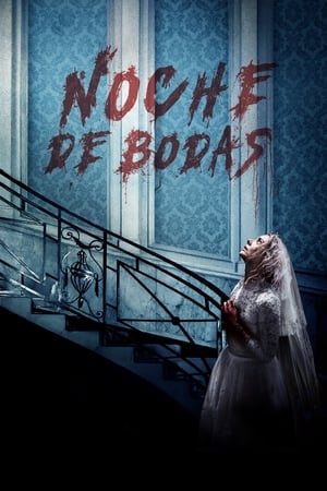 donde ver noche de bodas