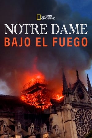 donde ver notre dame bajo el fuego