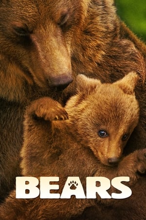 donde ver disneynature bears