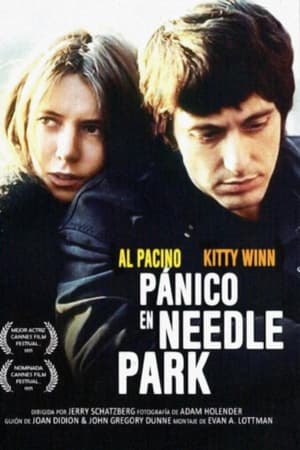 donde ver pánico en needle park